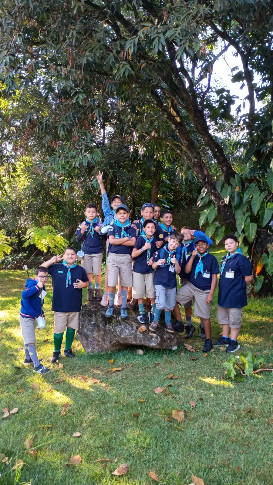 Alcateia Lobo Dourado no Grande Jogo 2026